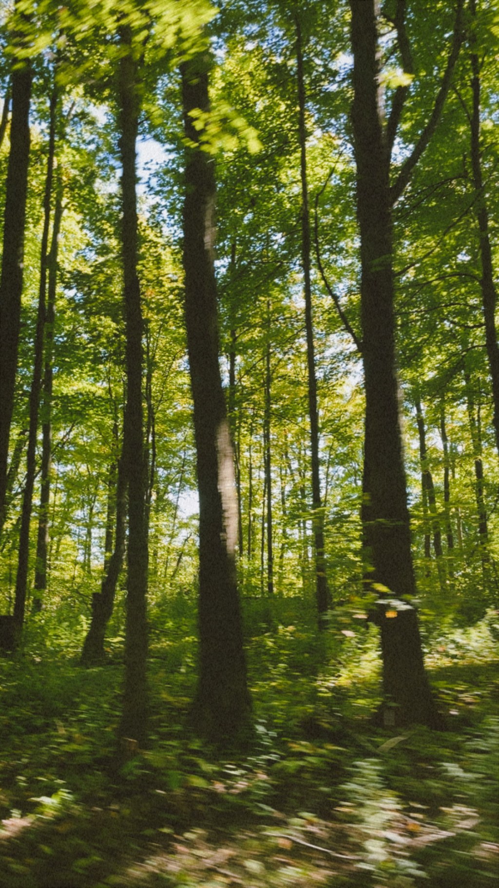 Mình học được gì từ việc chạy&nbsp;bộ